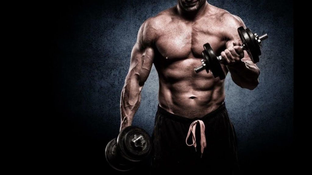 тестостерон ципионат тренировка